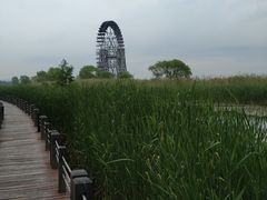 -苏州太湖湖滨国家湿地公园