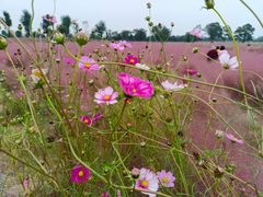 -汉长安城未央宫国家考古遗址公园