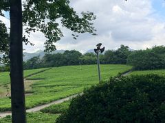 -宜兴龙背山森林公园