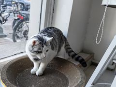 -青春加萌照相馆