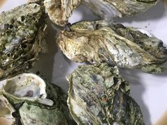 -大富蚝乌东哥饭店·石锅鱼杂·柠檬鸭(革新路店)