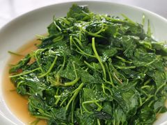 -沪依小酒馆心意菜