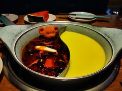 -青瓷火锅料理(西单大悦城店)
