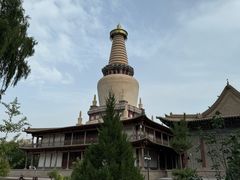 -张掖大佛寺景区