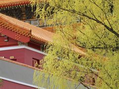 -北京市劳动人民文化宫(太庙)