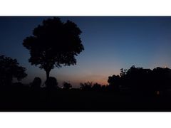 -无锡梁鸿湿地丽笙度假酒店·流觞西餐厅