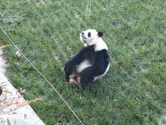 -西安秦岭野生动物园