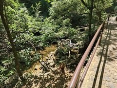 -芦茨金富饭庄·25年老字号·专做稻草鸡