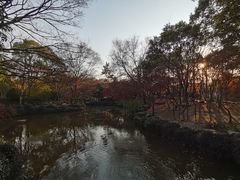 -秋霞圃