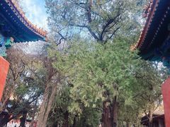 -北京国子监胡同