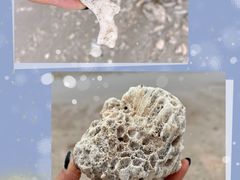 -涠洲岛火山国家地质公园