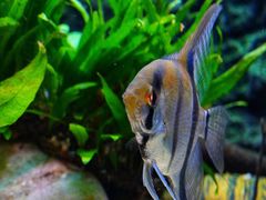 -上海海洋水族馆