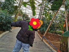 -北戴河集发农业梦想王国