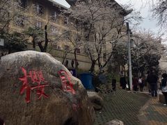 -武汉大学-樱园