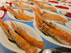 -舒友海鲜大酒楼·宴会厅(白鹭洲旗舰店)