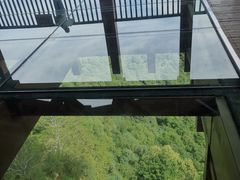 -少华山国家森林公园
