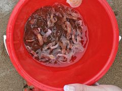 -南戴河国际娱乐中心