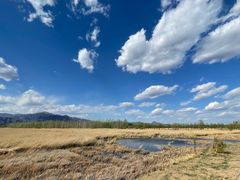-野鸭湖国家湿地公园