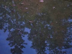 -云溪植物园