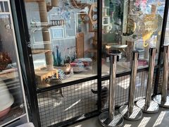 -中环花鸟鱼虫市场