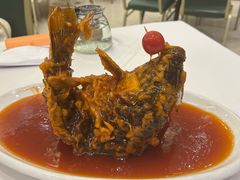 糖醋鲤鱼-金三杯酒家(泉城路店)