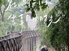 -成都大熊猫繁育研究基地