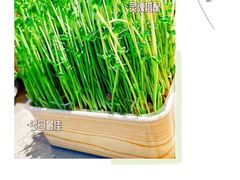 -海底捞火锅(世豪广场店)