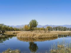 -野鸭湖国家湿地公园