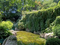 -静安公园(静安寺街道)