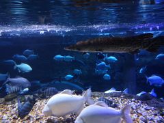 -成都浩海立方海洋公园