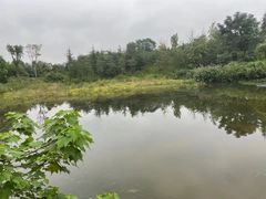 -白鹭湾湿地公园