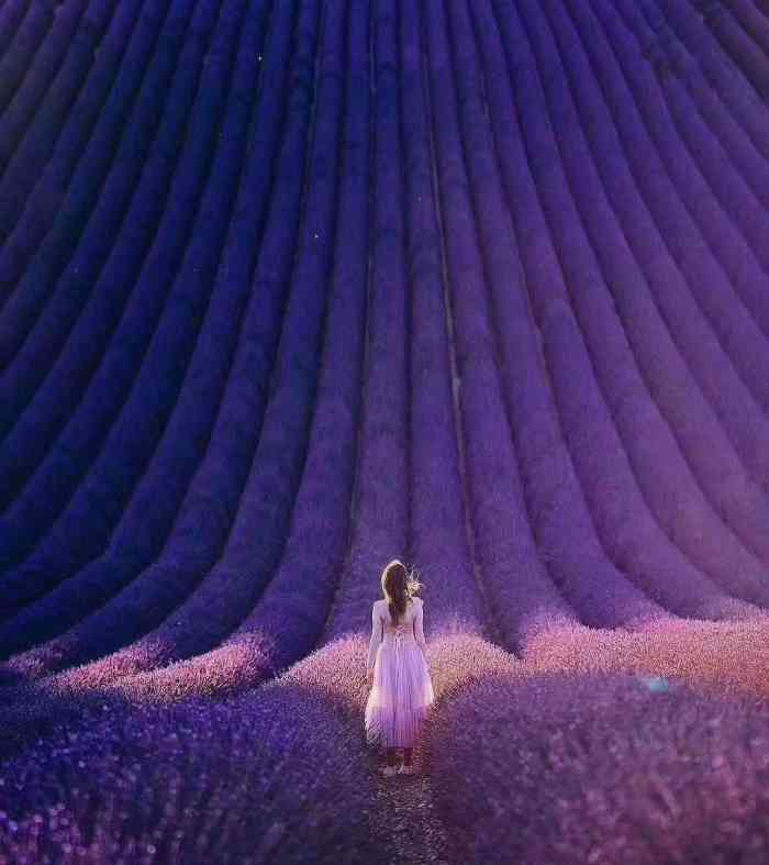 doctype html> html lang="zh-cn"> head> meta charset="utf-8"/> 