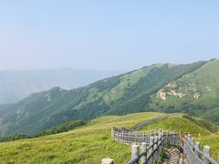 -灵山