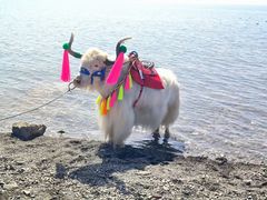 -青海湖国家重点风景名胜区
