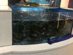 -屯老二农家铁锅炖·行业领军者(梅江店)