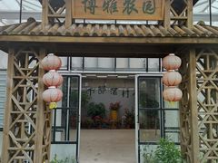 -上海都市菜园
