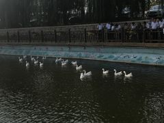 -水云涧温泉滑雪度假区
