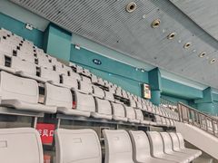 -重庆市奥林匹克体育中心-游泳跳水馆