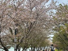 -苏州独墅湖世尊酒店