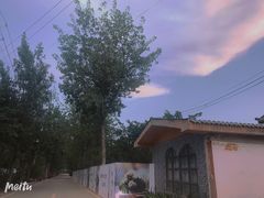 -云里小坐·小院里·团建·宴请·下午茶(三圣乡店)