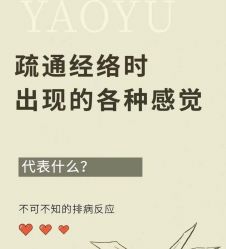 -芳香乐府疗愈空间·SPA·冥想