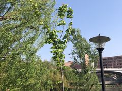 -山东大学(兴隆山校区)