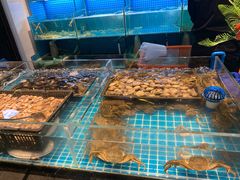 -九月海·海鲜自助(世纪东方店)