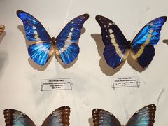 -吉林省自然博物馆