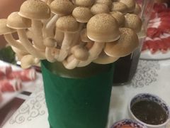 -皇城根(张杨店)