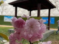 -观澜湖生态运动公社