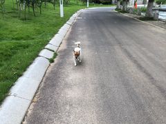 -济南国际园博园