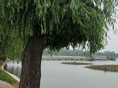 -白洋淀景区