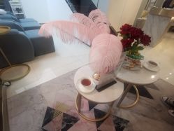 -La Rose·轻奢皮肤管理