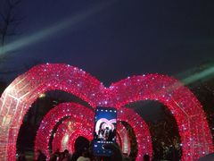 -飞凤山奥体公园